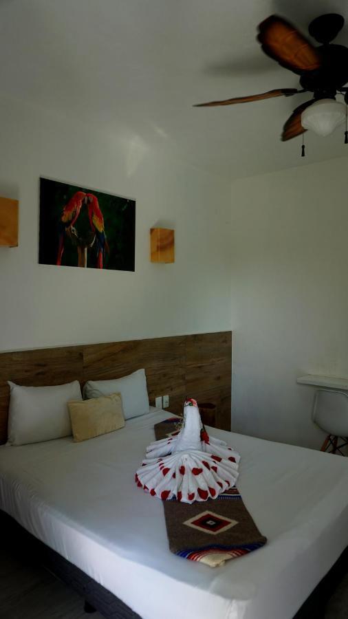 Selva y Mar Apart Hotel - 5Th Ave Playa del Carmen Exterior foto