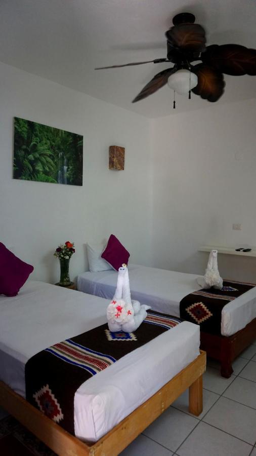 Selva y Mar Apart Hotel - 5Th Ave Playa del Carmen Exterior foto