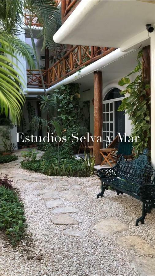 Selva y Mar Apart Hotel - 5Th Ave Playa del Carmen Exterior foto